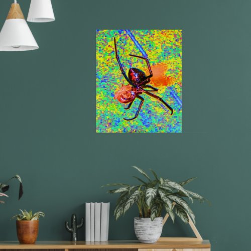 Black Widow Spider Eating Poster