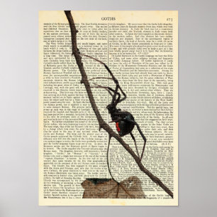 Black Widow Spider, Gothic, Nature, Arachnophobia Poster