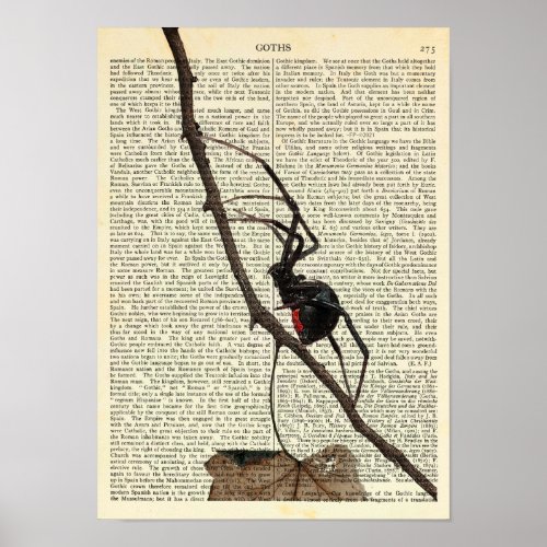 Black Widow Spider Gothic Nature Arachnophobia Poster