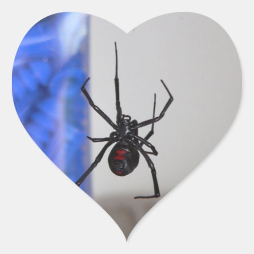 Black Widow Spider Heart Sticker