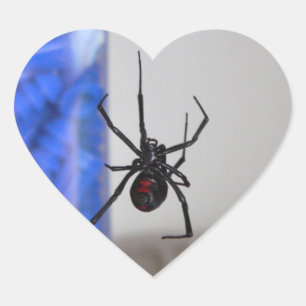 Black Widow Spider Heart Sticker