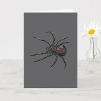 Black Widow Spider Original Drawing Art