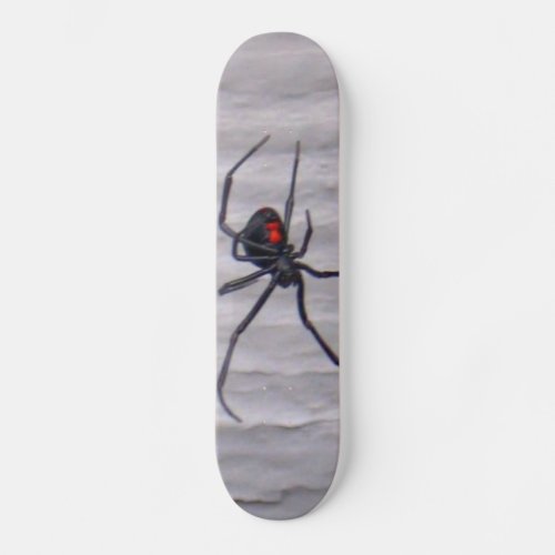 black widow spider skateboard deck