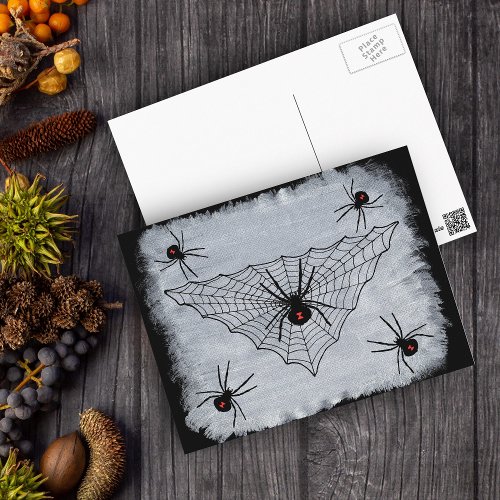 Black Widow Spider Web Postcard