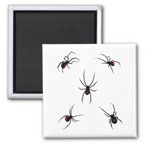 Black Widow Spiders Magnet