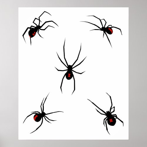 Black Widow Spiders Poster