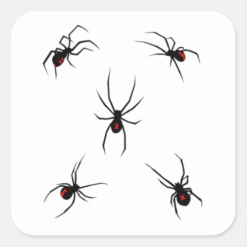 Black Widow Spiders Square Sticker