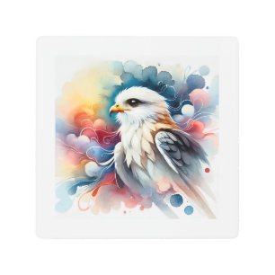 Black Winged Kite 270924AREF115 - Watercolor Metal Print