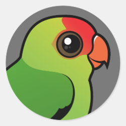 Black-winged Lovebird Round Sticker