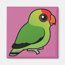 Black-winged Lovebird Square Magnet