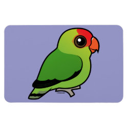 Black-winged Lovebird 4