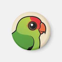 Black-winged Lovebird Round Magnet