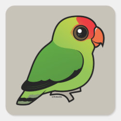 Black-winged Lovebird Square Sticker