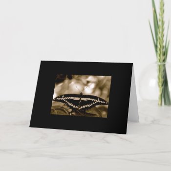 Black Wings Blank Card by pulsDesign at Zazzle