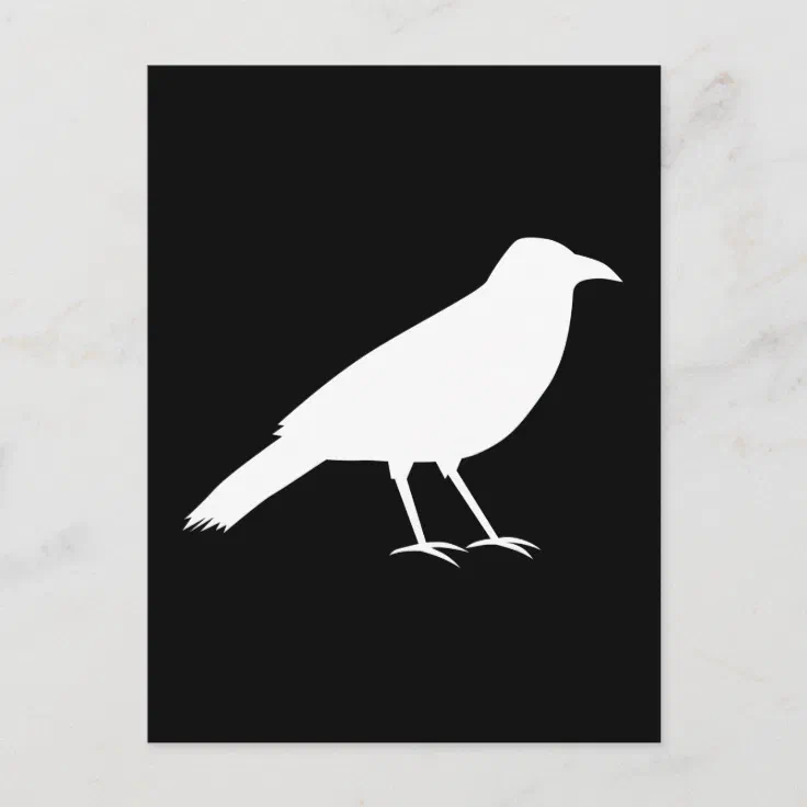 Black with a White Crow. Postcard Zazzle