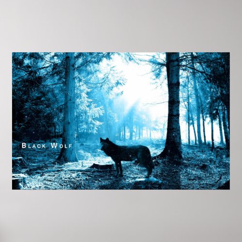 Black Wolf Alone in the Forest Poster