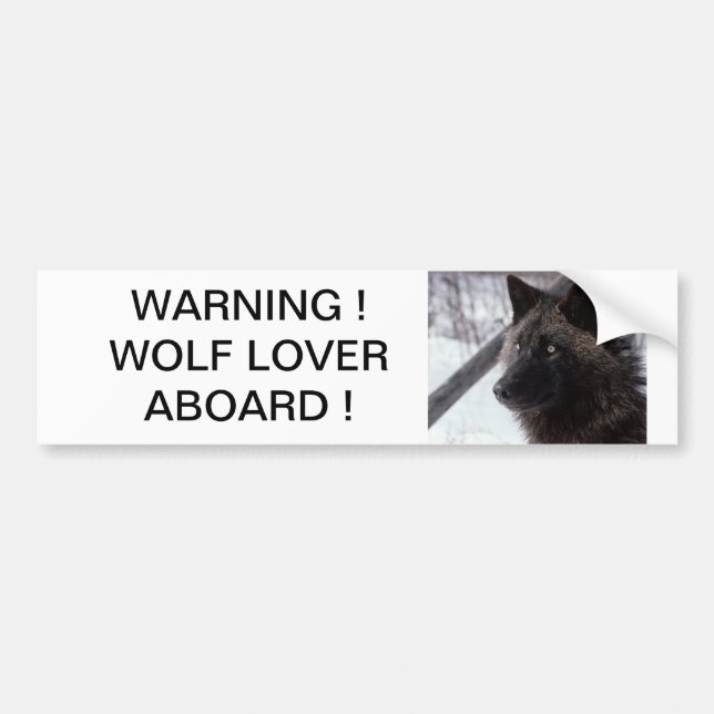 Black Wolf Bumper Sticker (Front)