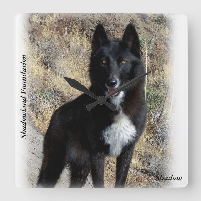 Black Wolf Clock (Front)