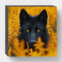 Black Wolf Dog German Shepherd