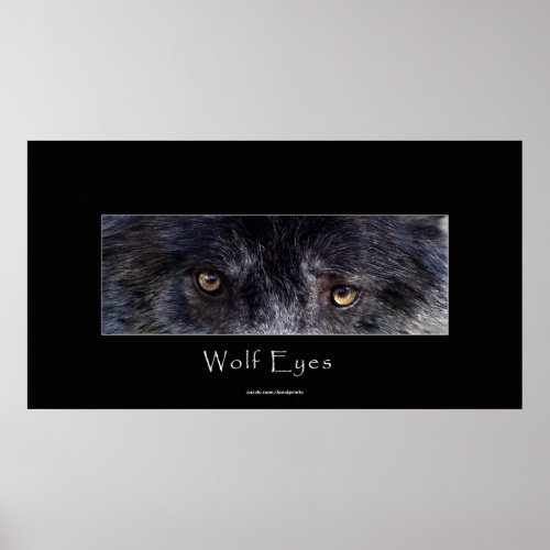 Black Wolf Eyes Wildlife Poster