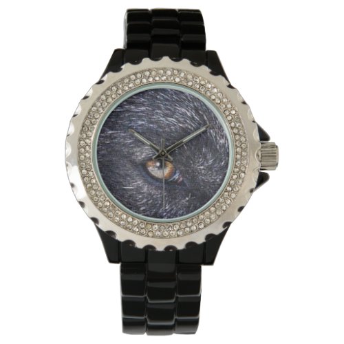 Black Wolf EyeWildlife Watch