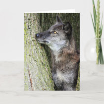 Black Wolf Greeting Card