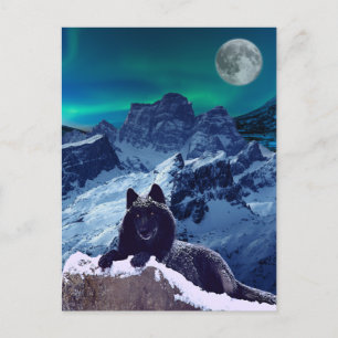 Black Wolf Moon   Gothic Postcard
