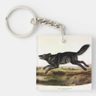 Black Wolf, or Black American Wolf (Canis Lupus) Keychain