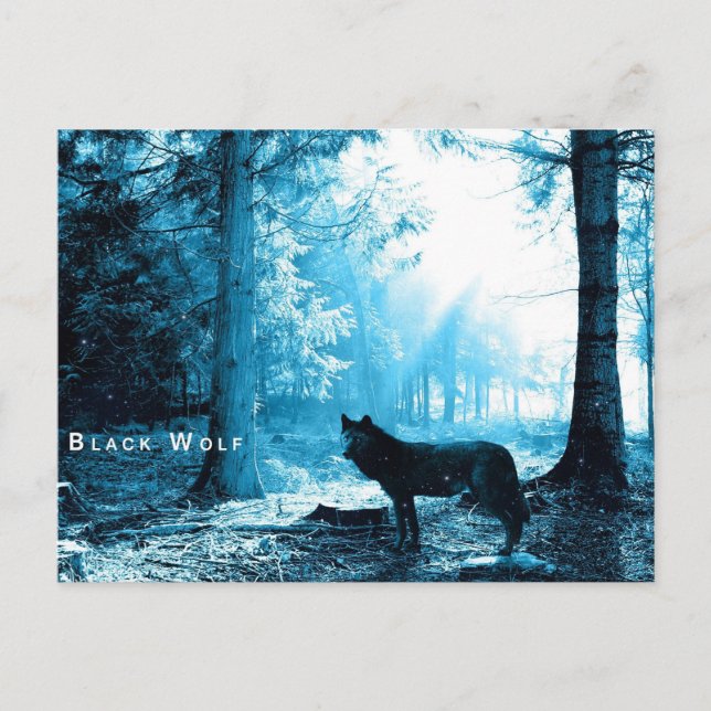Black Wolf Postcard (Front)