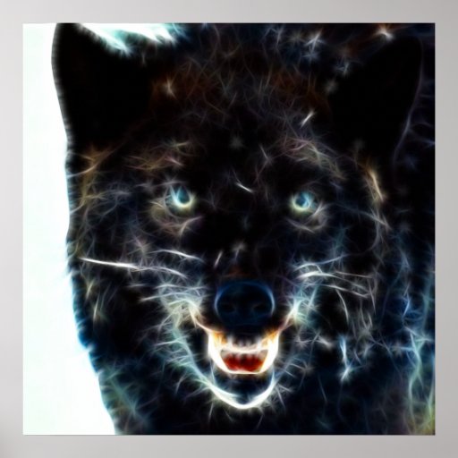 Black Wolf Print | Zazzle