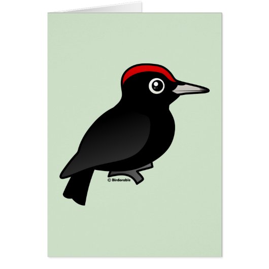 Black Woodpecker Cards (Front)