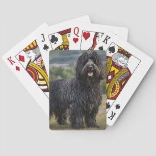 Black Woolly Bergamasco Sheepdog, Poker Cards