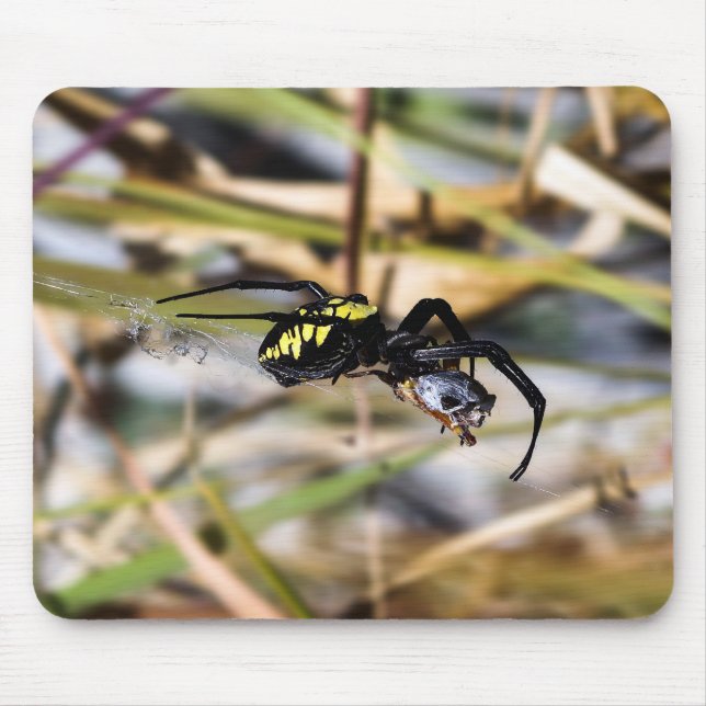 Black & Yellow Argiope Garden Spider Mousepad (Front)