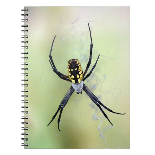 Black  Yellow Argiope Garden Spider Notepad Notebook