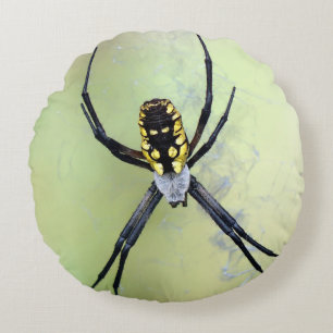 Black & Yellow Argiope Garden Spider Round Pillow
