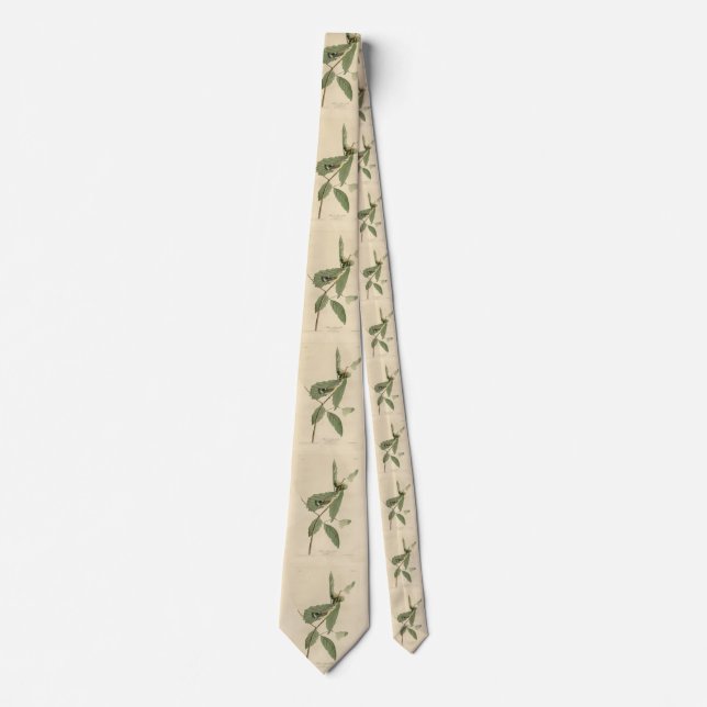 Black & Yellow Warbler, Audubon's Birds of America Neck Tie (Front)