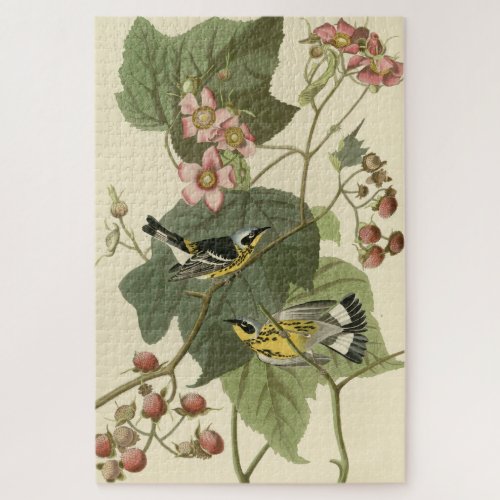 Black  Yellow Warblers Audubons Birds of America Jigsaw Puzzle