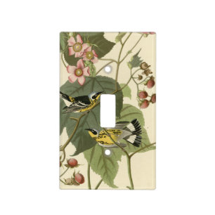 Black & Yellow Warblers Audubon's Birds of America Light Switch Cover