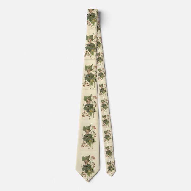 Black & Yellow Warblers Audubon's Birds of America Neck Tie (Front)
