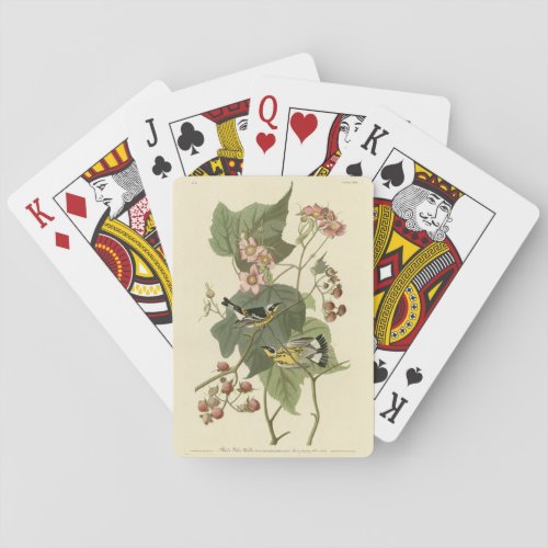 Black  Yellow Warblers Audubons Birds of America Poker Cards