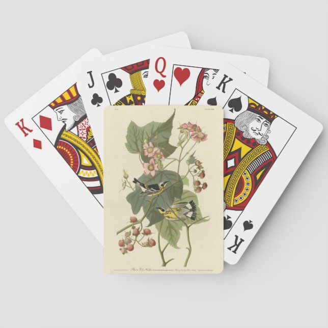 Black & Yellow Warblers Audubon's Birds of America Poker Cards (Back)