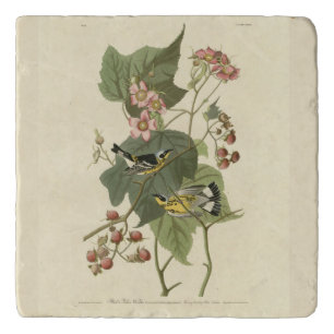 Black & Yellow Warblers Audubon's Birds of America Trivet
