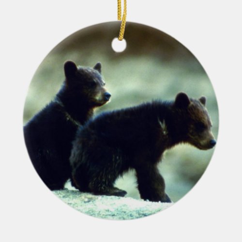 Blackbear cubs ceramic ornament