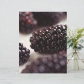 Blackberries (Standing Front)