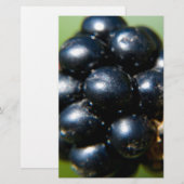 Blackberries (Front/Back)