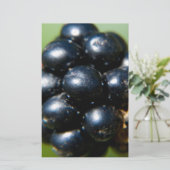 Blackberries (Standing Front)