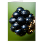 Blackberries (Front)