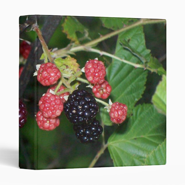 Blackberries at Dusk Binder (Front/Spine)