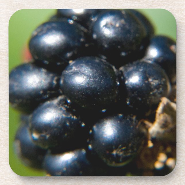 Blackberries Beverage Coaster (Front)