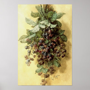 ‘Blackberries’ by Paul de Longpré Poster